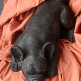 White Moose sleeping Frenchie homeware figurine in black, detailed ceramic sculpture of a peaceful French Bulldog.