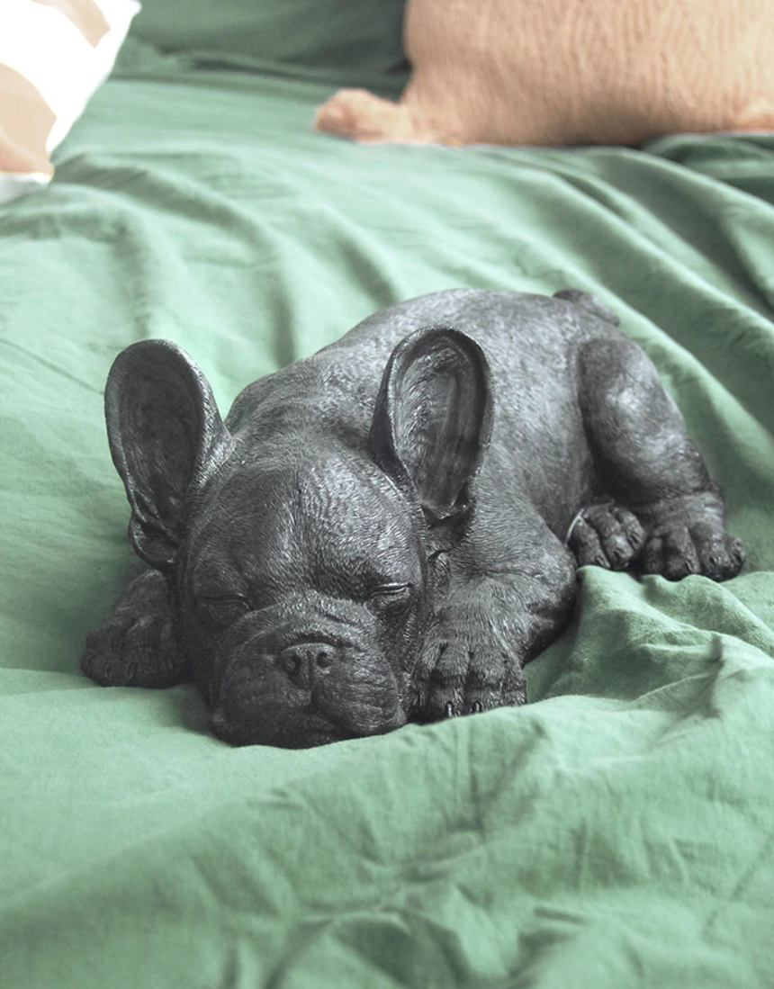 White Moose sleeping Frenchie homeware figurine in black, showcasing a detailed, cozy dog design for home decor.