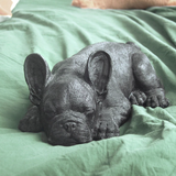 White Moose sleeping Frenchie homeware figurine in black, showcasing a detailed, cozy dog design for home decor.